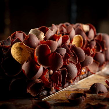 Bûche pistache fruits rouges et vanille - Père-Noël - Surprises et  Gourmandises