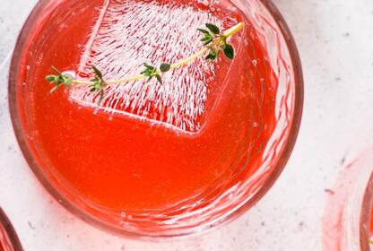 Gaseosa natural, la kombucha tiene un alto poder antioxidante