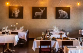Inside Siberia Restaurant in Adelaide