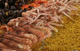 ¿Cuántos tipos de paella de arroz existen?