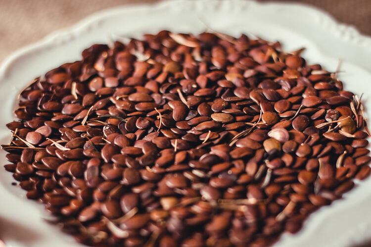 Semi di lino, un esempio di superfood