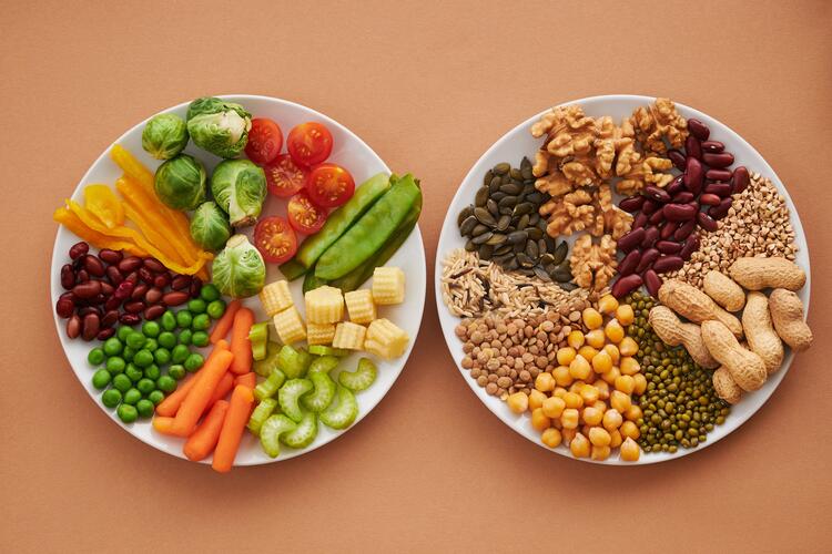 elementi della dieta plant-based
