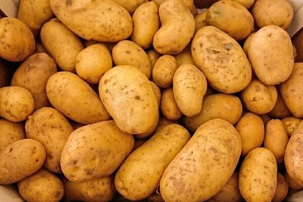 Patatas - Uno de los principales tubérculos comestibles
