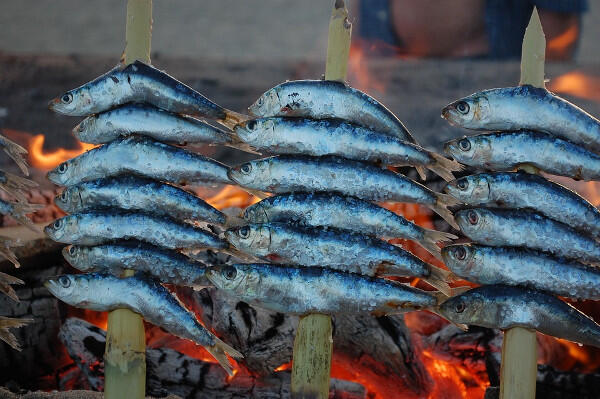 Sardinas asadas