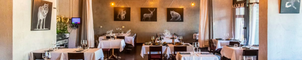 Inside Siberia Restaurant in Adelaide