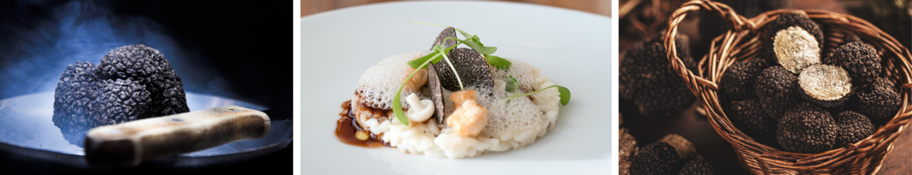 Where to dine out this truffle season in Sydney and Melbourne