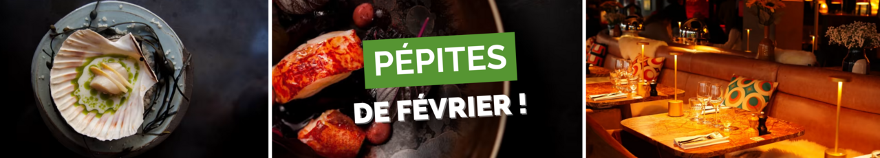 Pépites de février head banner