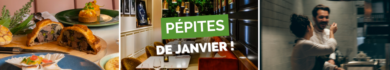 head banner les pépites de janvier