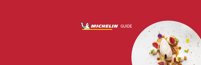 Michelin Guide Selection 