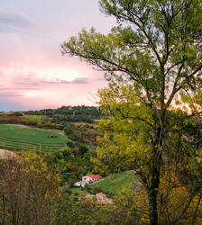 4 agriturismi nelle Marche dove mangiare