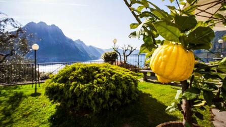 4 ristoranti da scoprire sul lago d'Iseo