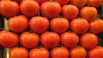 Alimentos con sabor Umami: Ejemplos