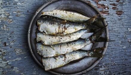 Diferencias entre sardina, boquerón y anchoa