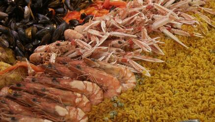 ¿Cuántos tipos de paella de arroz existen?