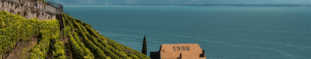 5 adresses bord de lac